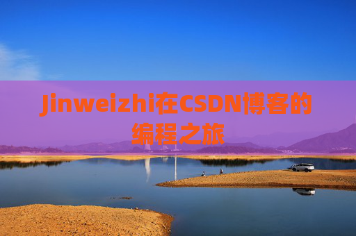 Jinweizhi在CSDN博客的编程之旅